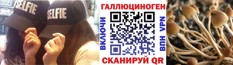 кракен маркетплейс  Ивдель  Галлюциногенные грибы Magic Shrooms 