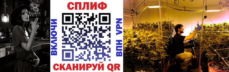 Конопля сатива  Ивдель 